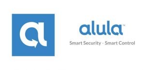 alula